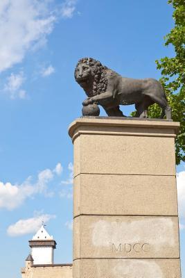 Read Online Swedish Lion Monument in Narva Estonia Journal: 150 Page Lined Notebook/Diary -  | PDF