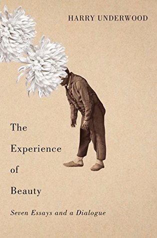 Read The Experience of Beauty: Seven Essays and a Dialogue - Harry Underwood file in ePub