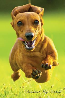 Read Online Dachshund May Notebook Dachshund Record, Log, Diary, Special Memories, To Do List, Academic Notepad, Scrapbook & More - Dachshund World | ePub