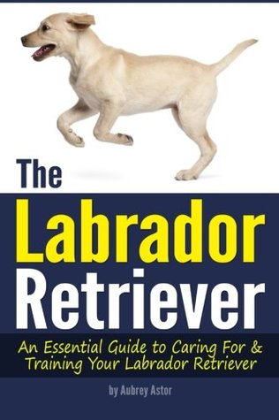 Read The Labrador Retriever: An Essential Guide to Caring For and Training Your Labrador Retriever (How to Train a Labrador Retriever   Labrador Training Tips) - Aubrey Astor | PDF