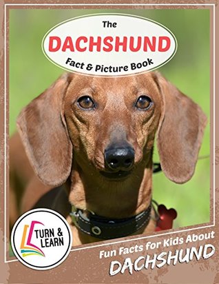 Read The Dachshund Fact and Picture Book: Fun Facts for Kids About Dachshund (Turn and Learn) - Gina McIntyre file in PDF