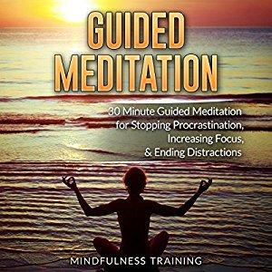 Full Download Guided Meditation: 30 Minute Guided Meditation for Stopping Procrastination, Increasing Focus, & Ending Distractions - Mindfulness Training | PDF