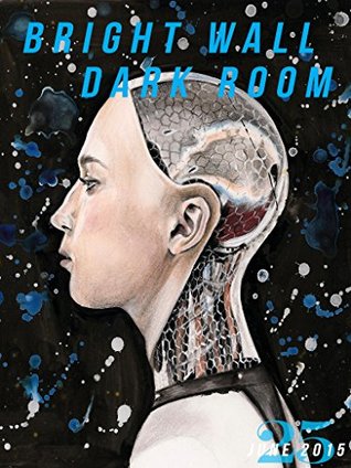 Full Download Bright Wall/Dark Room Issue 25: Dilemmas: June 2015 (Bright Wall/Dark Room Magazine) - Chad Perman | PDF