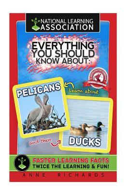 Full Download Everything You Should Know about: Pelicans and Ducks - Anne Richards file in ePub