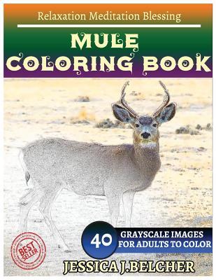 Read Mule Coloring Books: For Adults and Teens Stress Relief Coloring Book: Sketch Coloringbook 40 Grayscale Images - Jessica Belcher file in ePub
