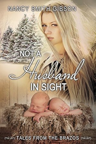 Download Not a Husband in Sight (Tales from the Brazos) - Nancy Smith Gibson file in PDF
