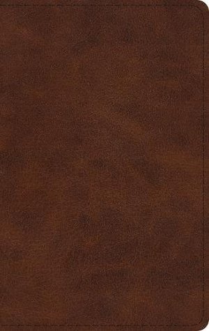 Full Download ESV Large Print Thinline Bible (Trutone, Deep Brown) - Anonymous file in PDF