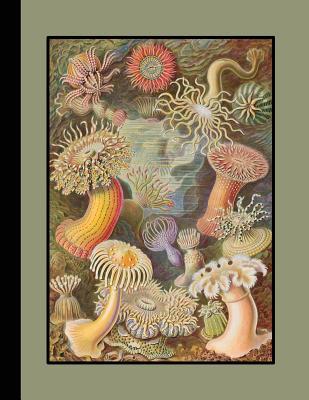 Read Online Vintage Botanical Illustration Journal: Ernst Haeckel - Actiniae Sea Anemones Lined Journal for the Marine Biologist, Oceanographer and Sealife Lover - Botanical Illustration Journals | ePub