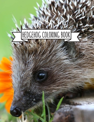 Read Hedgehog Coloring Book: Hedgehog Lover Gifts for Toddlers, Kids or Adult Relaxation Cute Stress Relief Animal Birthday Coloring Book Made in USA - Shayne Coloring Book | ePub